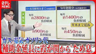 【解説】高値続く電気・ガス・ガソリン代…  「補助金」延長も霞が関からは“ため息”…そのワケは？【イチから解説】