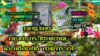 Garden Tour/ Nursery with Variety of Plants /Fruits/Birds/Pots#garden  #ഗാർഡൻനഴ്സറി#versatilepassion