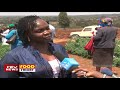 food friday improving potato production in nyandarua county