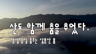 [와일드지리산 UHD] 함양의 자랑 삼봉산에도 봄이 왔습니다.연녹색 나뭇잎이 돋아나고 싱그럽고, 운해가 춤을 추다.