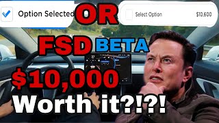 Full Self Driving Beta VS Tesla Basic Autopilot | Is FSD Beta Worth $10,000? || All The Differences