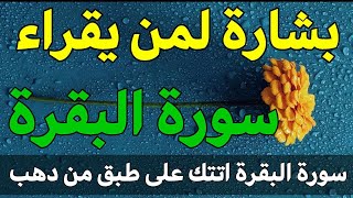 عجائب واسرار وكنوز سورة البقرة هتغير حياتك