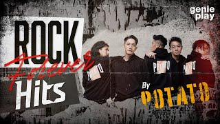 รวมเพลง ROCK FOREVER HITS BY POTATO l ที่เดิม, ทุกด้านทุกมุม, ทนพิษบาดแผลไม่ไหว, เธอยัง… [Longplay]