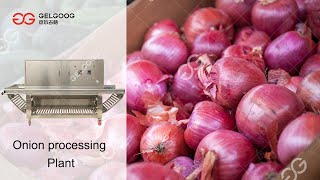 Onion Processing Plant Machine Peeling Cutting Packing Factory