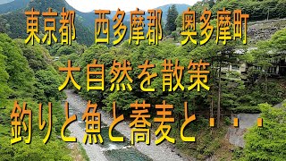 【東京　奥多摩】大自然の中、仲間と釣りと美味しい魚！おっさん達の休日TOKYO　Waik　fishing