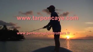 Tarpon Caye   Belize