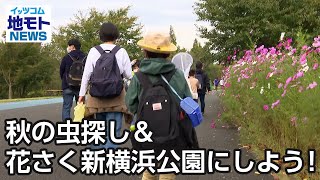 秋の虫探し＆花さく新横浜公園にしよう！【地モトNEWS】2022/10/26放送