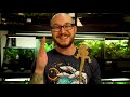 top 5 reptiles that thrive in a 75 gallon enclosure forever