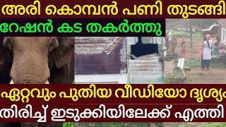 Ari Komban അരി കൊമ്പൻ പണിതുടങ്ങി റേഷൻകട തകർത്തു തിരിച്ച് ഇടുക്കിയിലേക്ക് ഏറ്റവും പുതിയ വീഡിയോ ദൃശ്യം