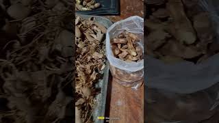 #sorting tamarind ( sampalok) #can use for cooking/candy  #short