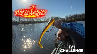 Best Fall Bass Fishing Lure (Hottest Bait In Chicago Right Now!)