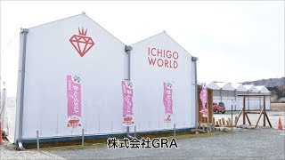 30 株式会社GRA