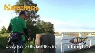 GEECRACK 黒田精司×大江川・五三川水系　2013年10月編