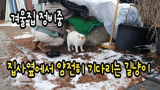 자기집을 사수하는 길냥이