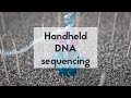 Handheld DNA sequencing with nanopores