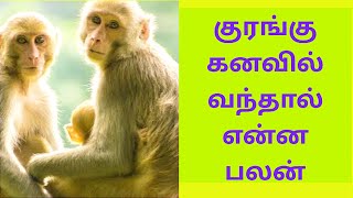 குரங்கு கனவில் வந்தால் என்ன பலன்|Kuragu kanavil vanthal enna palan