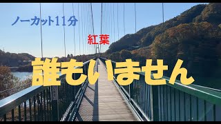 【人間ゼロ！】栃木那須塩原・紅葉谷大吊橋・塩原ダム（ノーカット11分）