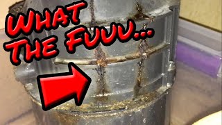 DO NOT BUY! This Garbage Disposal is GARBAGE! (InSinkerator Badger Replacement Installation Review)