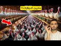 كيف يربح الأمريكيين ملايين الدولارات من تربية الديك الرومي🦃مزارع ولا في الأحلام 😱