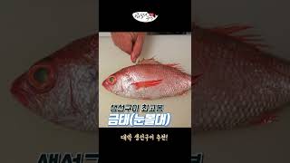 지존급 생선구이 9가지 추천 #Shorts