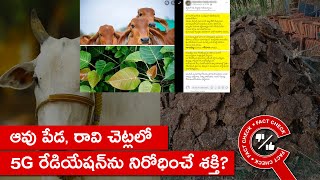 FACT CHECK:  ఆవు పేడ, రావి చెట్లలో 5G రేడియేషన్‌ను నిరోధించే శక్తి? | Factly Telugu