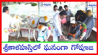 srikalahasthi temple | శ్రీకాళహస్తిలో ఘనంగా గోపూజ | srikalahasthi #sivudutv