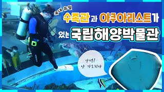 국립해양박물관 수족관과 아쿠아리스트를 만나다!