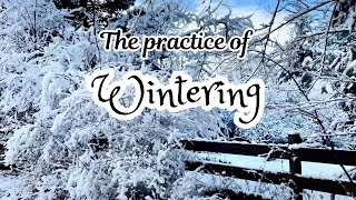 The practice  of Wintering and staying Cozy