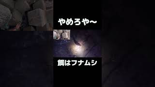 【穴釣り2画面】フナムシは簡単に食べられます