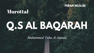Murottal Anak Merdu - Muhammed Taha Al Junaid | Q.S Al Baqarah Full