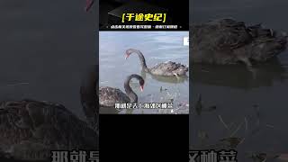 農村小伙放棄高薪工作，用積蓄創業，靠魚菜共生模式年收入3600萬