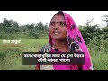 হীরার খনির জন্য ২ লাখ গাছ কাটতে চায় ভারত bbc bangla