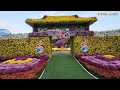 10월 11월에 가볼만 한 전남 가을꽃 축제 명소 3곳을 만나보세요. autumn flower festival attractions