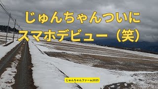 じゅんちゃんスマホに替えるの巻2025 03 06