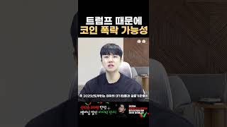 트럼프를 너무 믿지 마세요 트럼프가 코인을 폭락시킬 수 있습니다