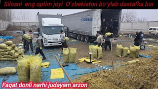 CHORVA HAYVONLAR UCHUN SILOSNI ZOʻRI NARHLARI JUDA JUDA ARZON 👍💯💪🔥