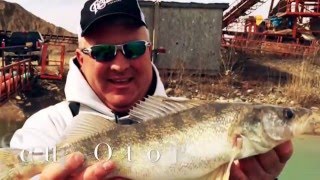 Walleye Wednesday 10th Edition feat Jaryd Guericke