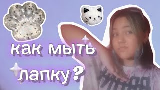 КАК МЫТЬ ЛАПКУ СКВИШ?) /VaryaTop♡