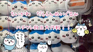 【ちいかわ】だららんぬいぐるみ　ハチワレ救出大作戦‼️なんとかなれーッ❣️