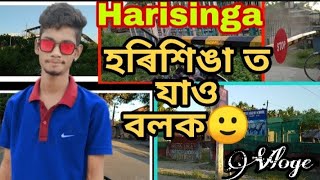 Harisinga//হৰিশিঙা ত গৈ কি কৰিলো?//🤔🤔🤔vloge