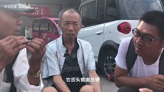 哪些八哥需要捻舌你知道吗？鸟市老大爷告诉你如何给八哥捻舌