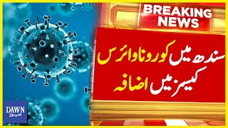 Sindh Mai Corona Virus Cases Mai Izafa | Breaking News | Dawn News