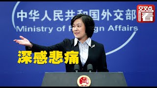 【外交部】澳大利亚女警为救峡谷漂流的中国留学生，不幸牺牲！外交部回应