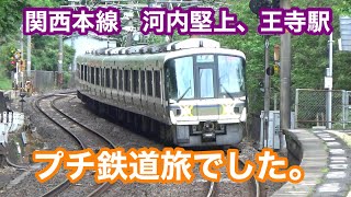 関西本線・河内堅上、王寺駅に行ってみた！