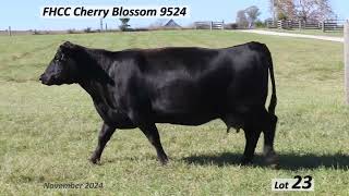 Lot 23   FHCC Cherry Blossom 9524