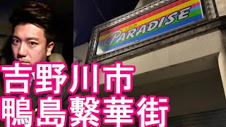 徳島県吉野川市！夜の繁華街（旧鴨島町）JR鴨島駅周辺-市街地を散策！徳島市から20キロ 吉野川沿いの都市！旧鴨島町、川島町、山川町、美郷村が合併！Yoshinogawa city,Japan