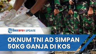 PARAH! Oknum Prajurit TNI AD Nekat Selundupkan 50 Kg Ganja di Kos kosan, Kini Diringkus BNN Banten