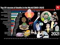 Top 20 causes of deaths in the World (1990-2021)