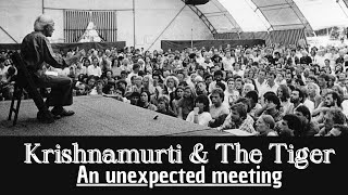 Krishnamurti \u0026 The Tiger | An Unexpected Meeting