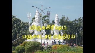 மிருகசிரீஷம் நட்சத்திரம் - சிவ பஞ்சாக்ஷர மந்திரம்